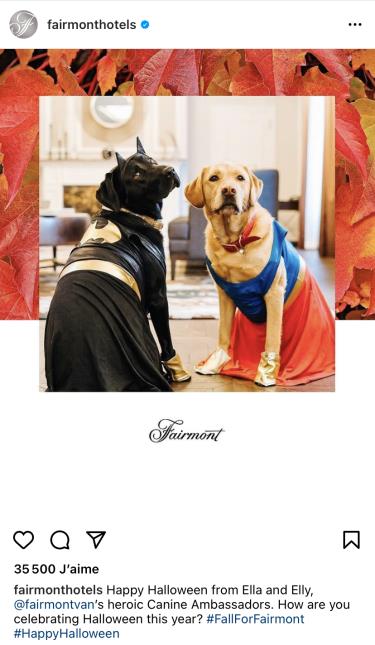 Certains établissements de la chaîne d'hôtels Fairmont mettent en avant leurs chiens.