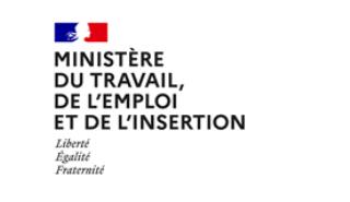 Ministère du Travail, de l'Emploi et de l'Insertion