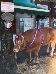 'Imaginaire' Belle Limousine