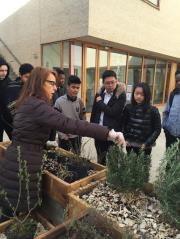 Plantation en mars avec Mme Gauzy, professeur d'Arts Appliqués avec les 2eme Bac et CAP 1ère année