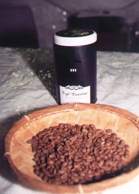 Bourbon Pointu, un premium coffee aux arômes extraordinaires