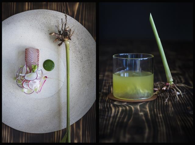  Fera, curry vert, extraction de pomme, coriandre et gingembre