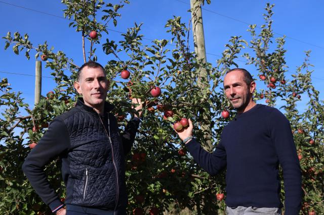 Grâce à son réseau de 3 500 producteurs locaux, Vivalya propose une offre diversifiée de 16 000 références de fruits et légumes.