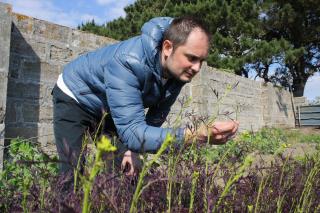 Le chef de La Marine Alexandre Couillon dans son potager à Noirmoutier