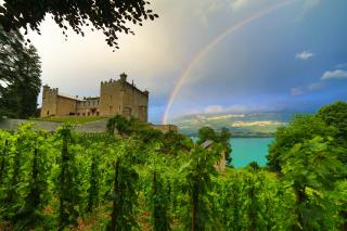 le chateau de Bourdeau au bord du lac du Bourget