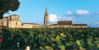 Vignoble et collegiale