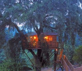 Le glamping capte une nouvelle clientèle, en quête de nature et de confort. Ci-dessus, une cabane...