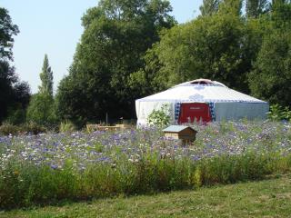 Yourte au camping La Fontaine du Hallate.