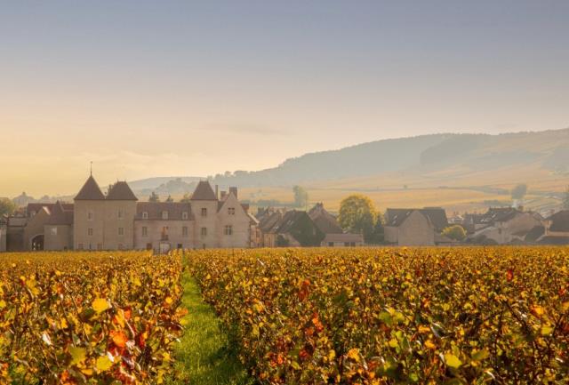  Le Château la Commaraine , à Pommard.