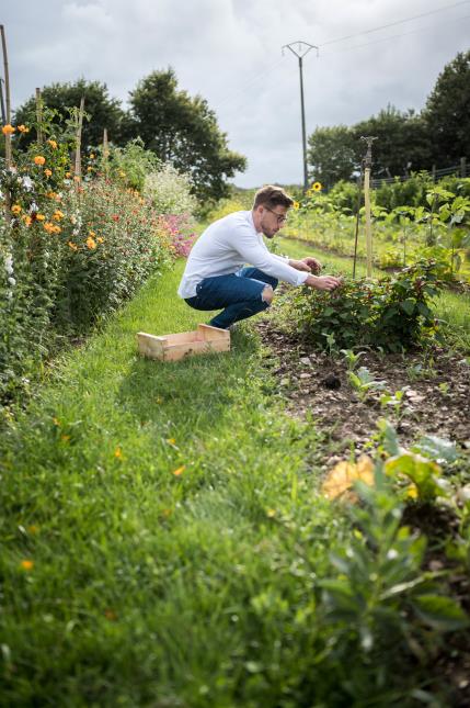 Le chef étoilé, étoile verte et propriétaire du Manoir de la Régate Mathieu Pérou, dans son potager biologique.