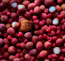 Signature framboise litchi (Bridor x Pierre Hermé)