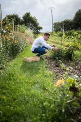 Le chef étoilé, étoile verte et propriétaire du Manoir de la Régate Mathieu Pérou, dans son potager biologique.
