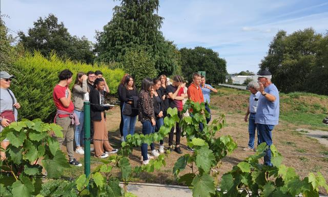 visite du coteau du Braden avec « les amis de la vigne 