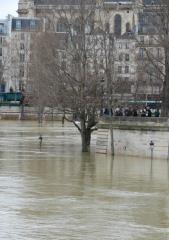 Inondations sur l'Île Saint Louis, à Paris.