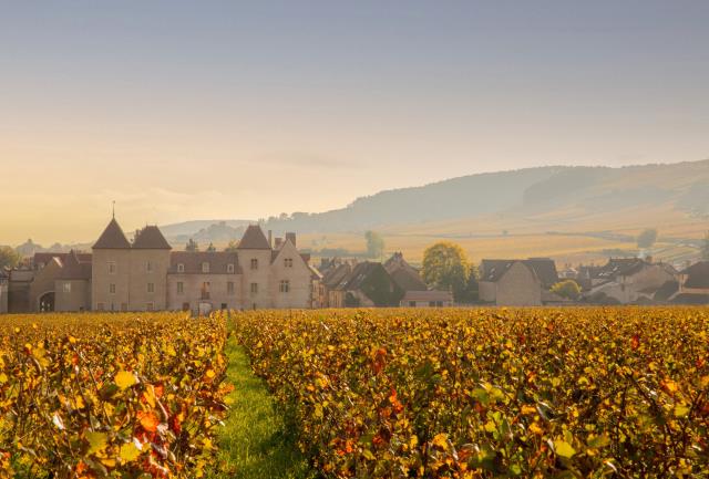 Séjourner en immersion dans les vignes : la promesse du Château la Commaraine à Pommard