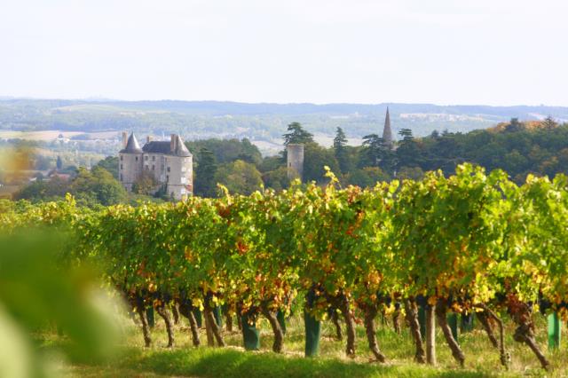 Vignoble du Buzet