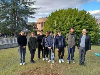 Les Eco-délégués de Camille Claudel ont planté un arbre symbole du E3D