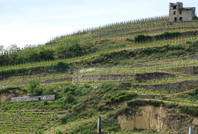 Vignoble en terrasses à Condrieu