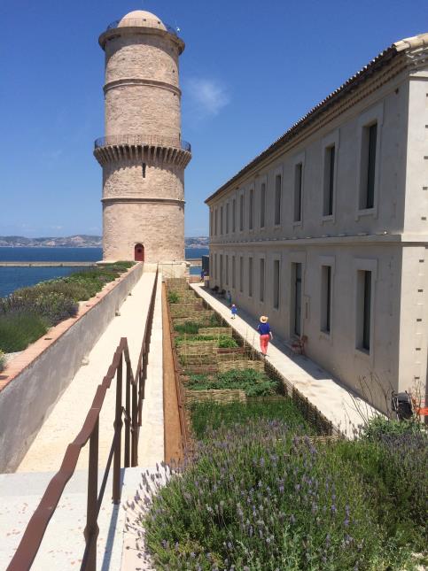 A Marseille, le Môle Passédat est un vrai potager-musée.