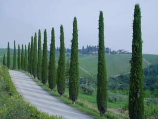 Castello di Casole, l'un des plus grands domaines privés d'Italie niché au coeur de 4 200 hectares...