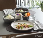 Nouveauté VEGA : le service Ossora