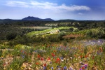 Vignerons en Développement Durable : pour une viticulture biologique