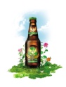 Annoncez le printemps avec la bière de mars