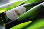 Riesling, le roi des vins d'Alsace