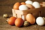 Existe-t-il des différences entre les variétés d'oeufs ?