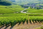Fiche pratique : Les appellations régionales des vins de Bourgogne