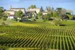 Fiche pratique : les vins de Saint-Émilion, Pomerol, Fronsac