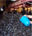 Braderie de Lille, du plastique dans les moules !