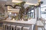 Vapiano vise 6 ouvertures par an en France