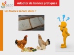 Un guide pour la gestion des biodéchets en restauration